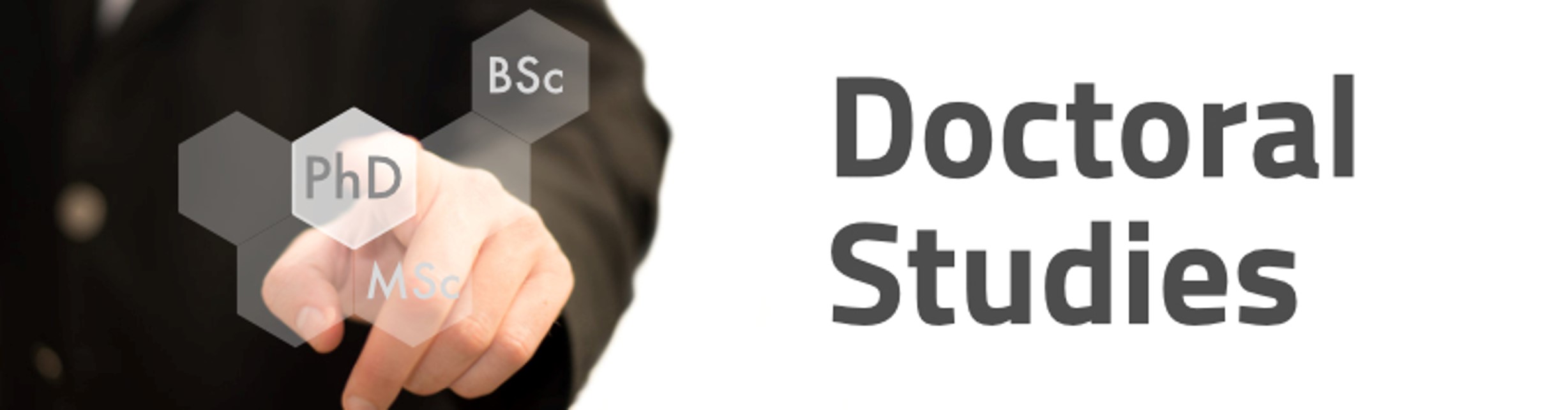 doctoral studies